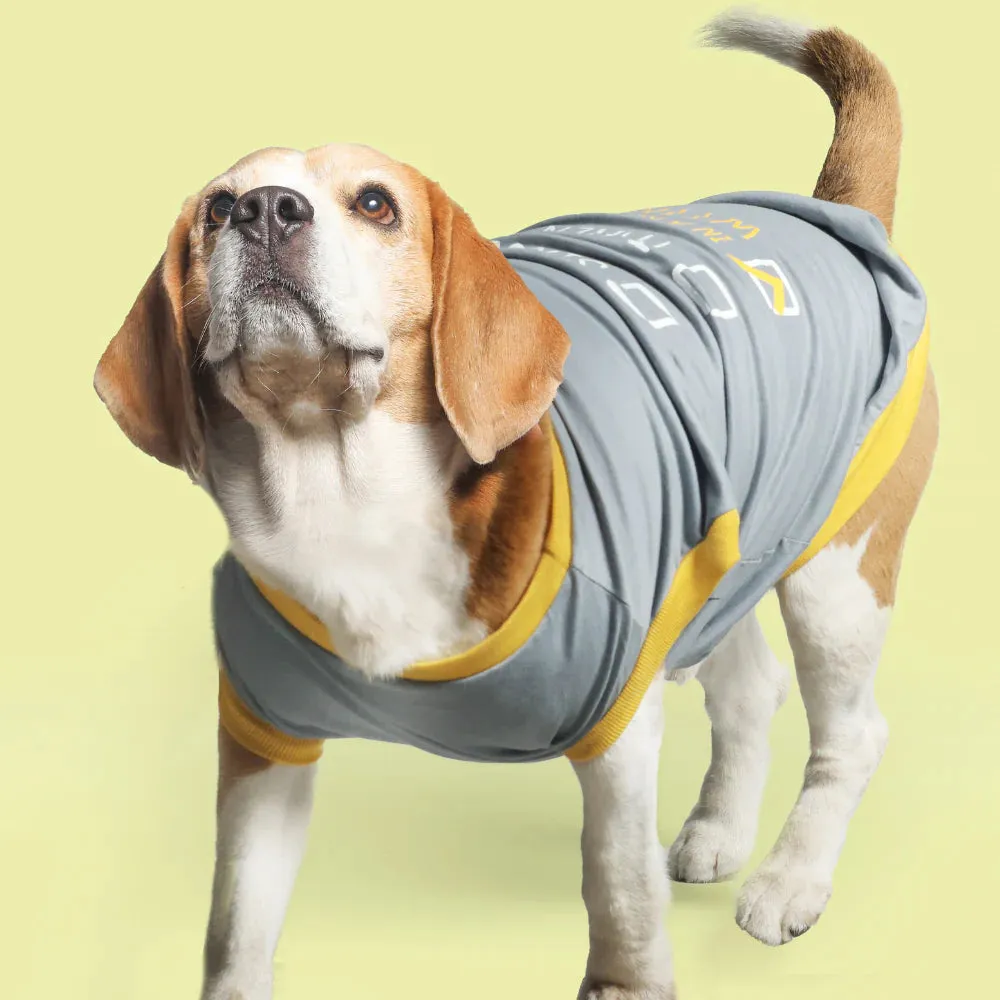 Super Saver Pack of 3 T-shirts Jolly