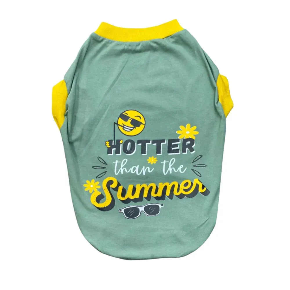 Super Saver Pack of 3 T-shirts Jolly